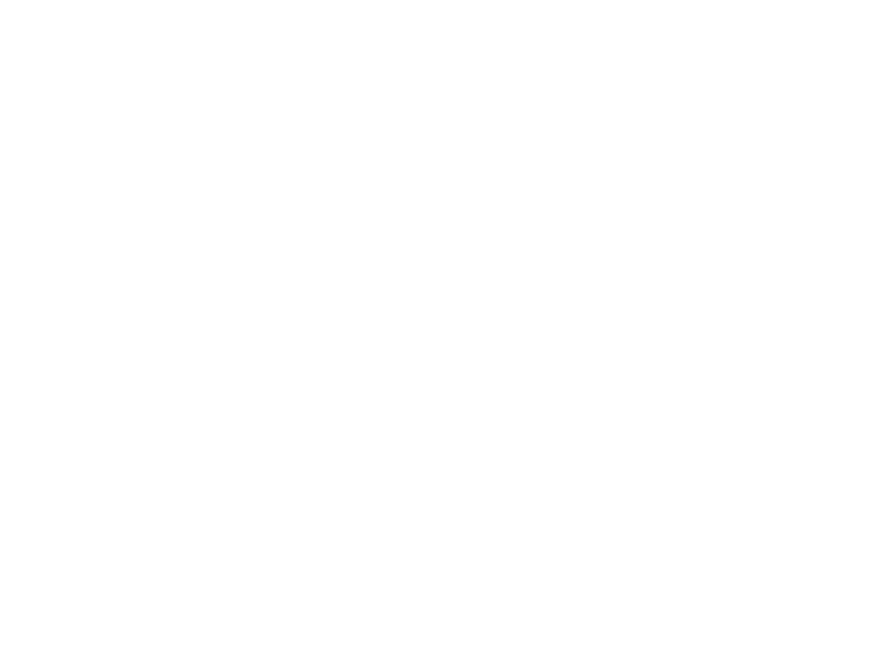 Chicken Meal & Rice Feeding Chart