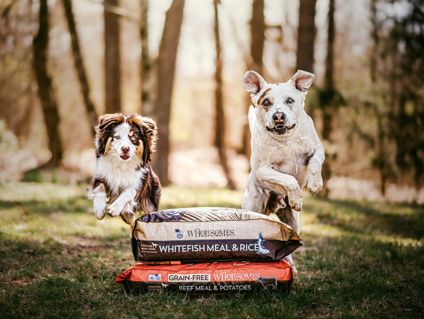 Two dogs jumping over two large bags of Wholesomes dog food