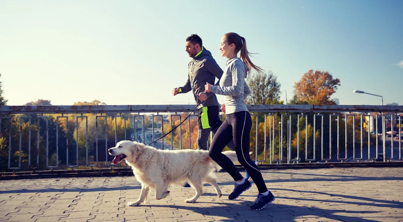 A couple runs outdoors with their dog